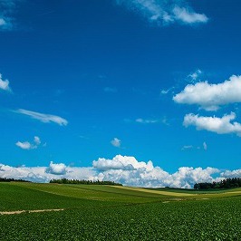 ✴北海道物産展✴